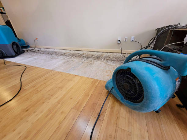 Professional Basement Flood Cleanup technician working in Sugar Tree, TN